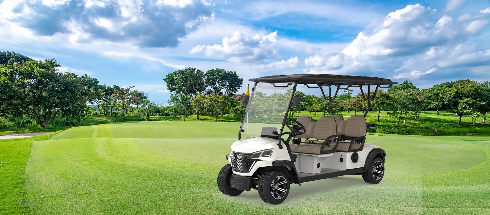 Chinese Golf Carts-EVrambler