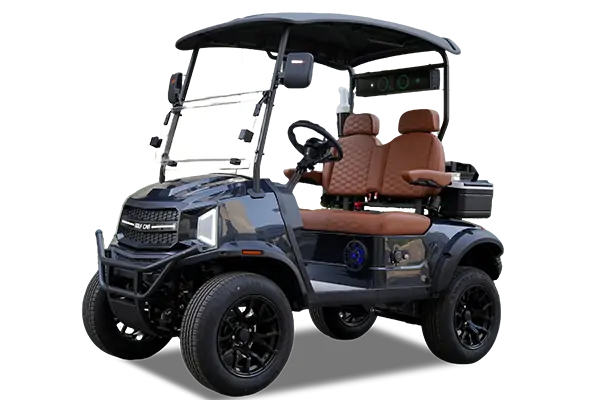 Lifted 2 Seater Golf Cart(REL-2)