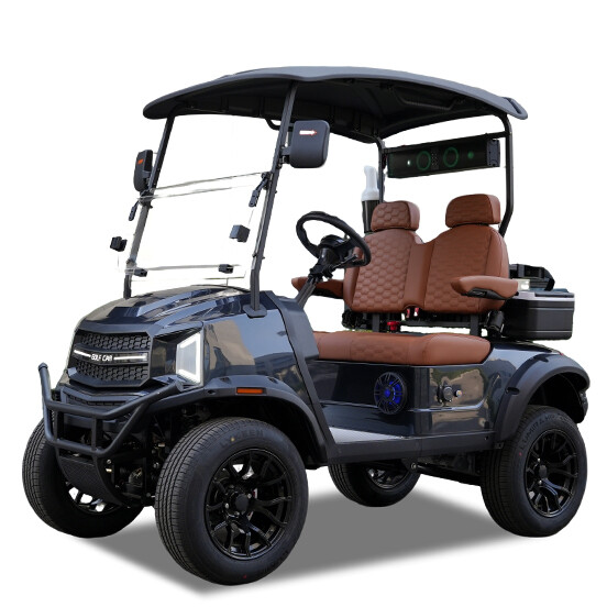 Lifted 2 Seater Golf Cart(REL-2)