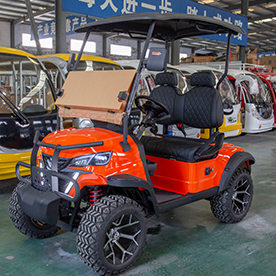 Lifted 2 Seater Golf Cart(RBL-2)