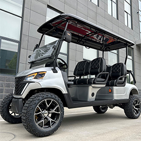 Lifted 4 Seater Golf Cart(RBL-4)