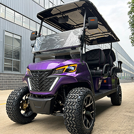 Lifted 8 Seater Golf Cart(RBL-6+2)